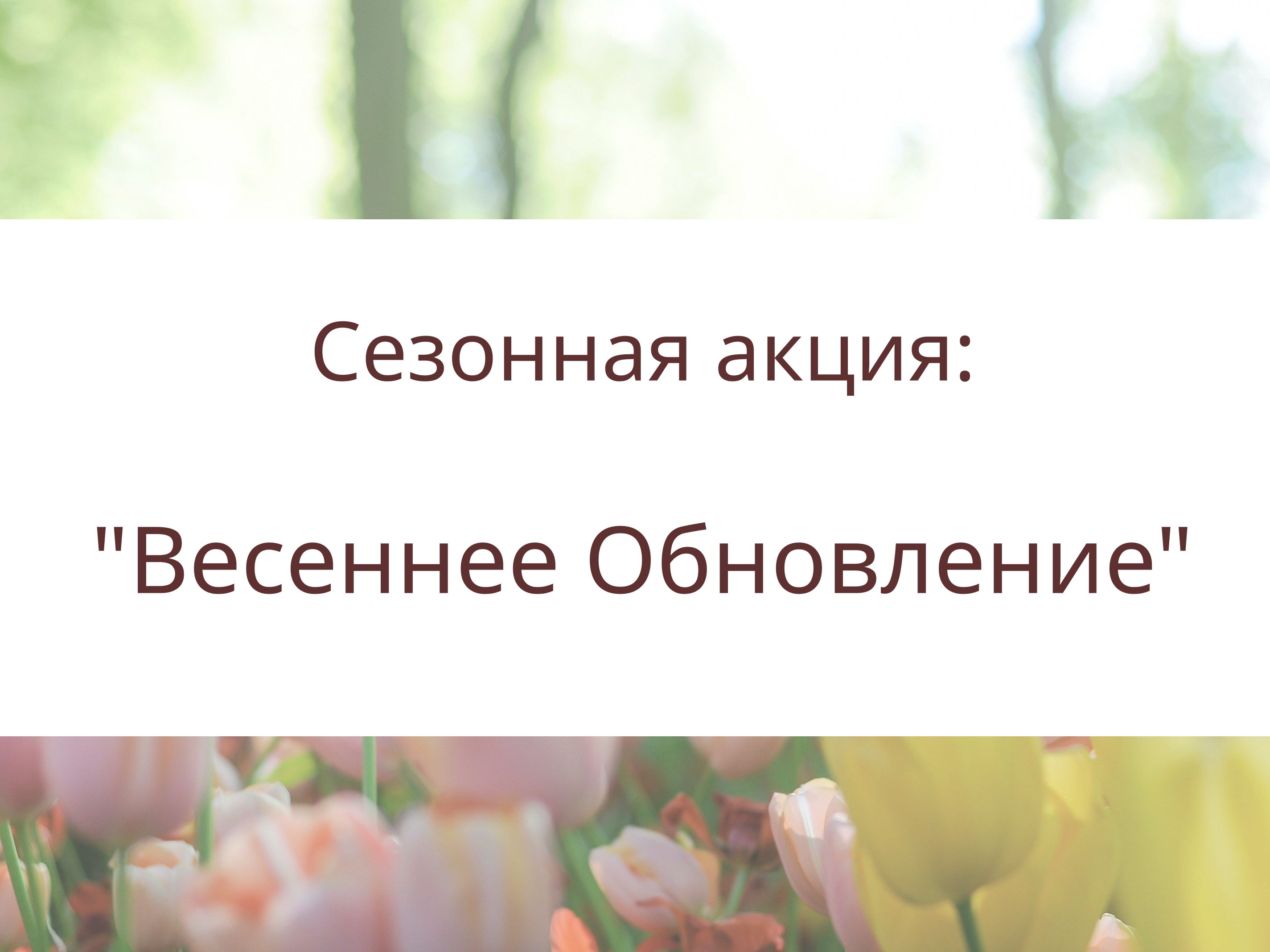 Сезонная акция: Весеннее Обновление